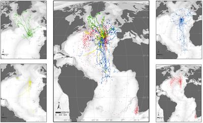 The Azores: A Mid-Atlantic Hotspot for Marine Megafauna Research and Conservation